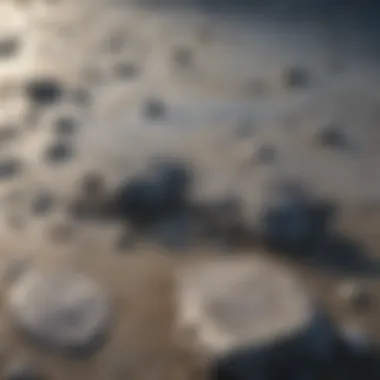 Close-up of ocean concrete's unique texture and properties