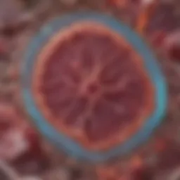 Microscopic view of liver tissue affected by cirrhosis