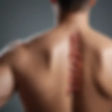 Validity and Reliability of Back Pain Questionnaires Chart illustrating the validity and reliability of back pain questionnaires in clinical practice