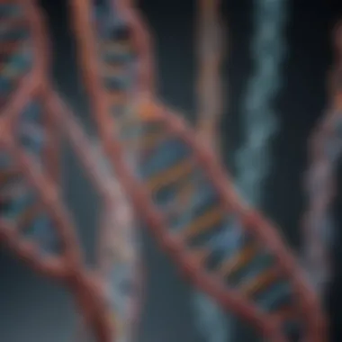 Representation of Genetic Code Related to Deafness Genetic code representation showcasing DNA strands relevant to hearing loss