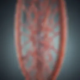 Detailed diagram showcasing the structure of expression plasmids