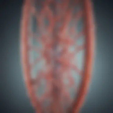 Structure of Expression Plasmids Detailed diagram showcasing the structure of expression plasmids