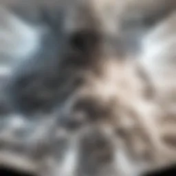 Exploring the Role of PD-L1 and Atezolizumab in Oncology Introduction