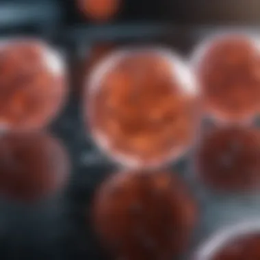 Exploring the Role of PD-L1 and Atezolizumab in Oncology Summary Exploring the Role of PD-L1 and Atezolizumab in Oncology Summary