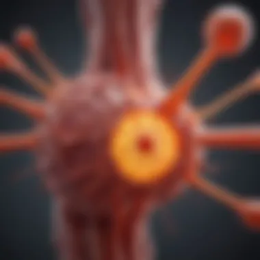 Chronic Inflammation Mechanisms Diagram illustrating chronic inflammation mechanisms