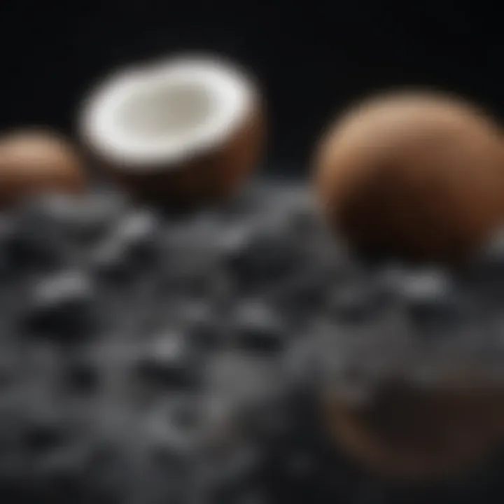 Filtration system utilizing coconut shell activated charcoal