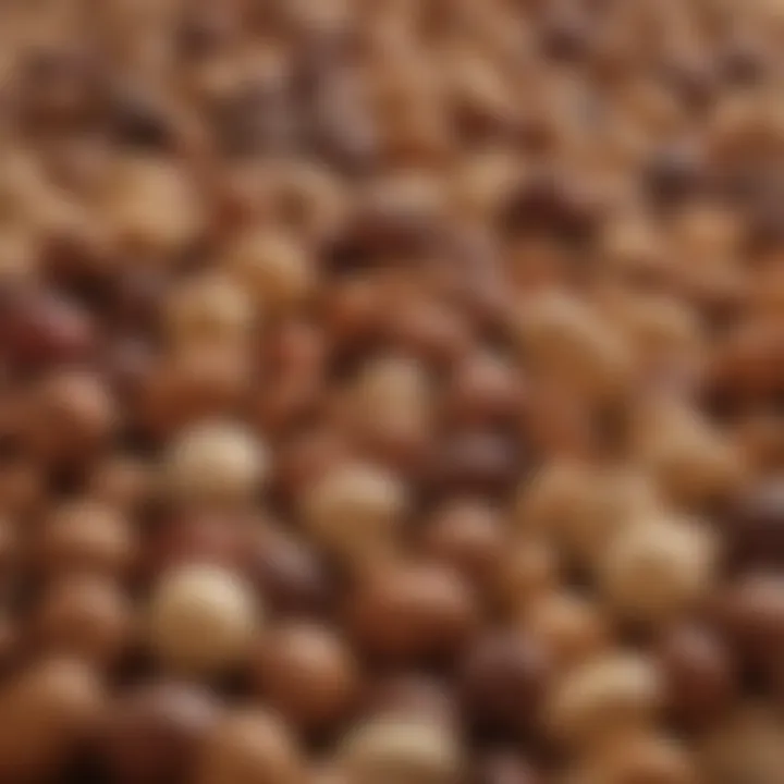 A variety of nuts and seeds beneficial for heart health