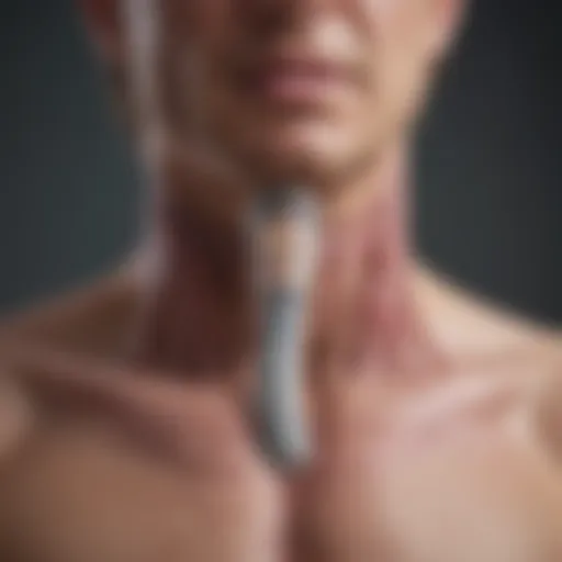 Illustration depicting the esophagus and stomach interaction in GERD