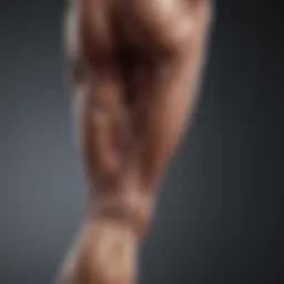Anatomy of the hamstring muscles