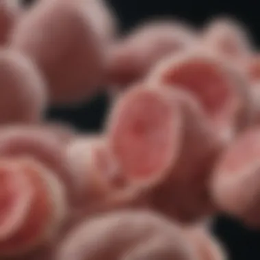 Advancements in Research on Endometrial Cancer Genetics Research advancements in endometrial cancer genetics