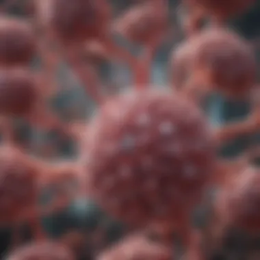 Impact of EGFR Mutations on Treatment Strategies Diagram illustrating the impact of EGFR mutations on treatment strategies