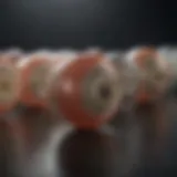 Detailed view of various implant types