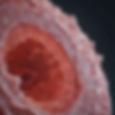 Histopathology in Lung Cancer Analysis Detailed histopathology slide of lung tissue