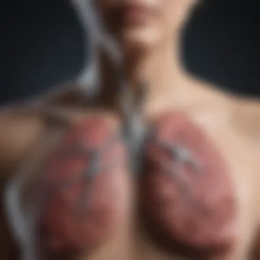 Diverse Types of Lung Cancer Diagram illustrating lung cancer types