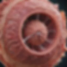 A detailed illustration of various malignant tumors affecting the bladder