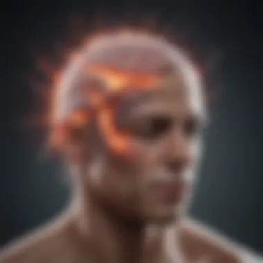Understanding Migraine Pathways A visual representation of the brain highlighting migraine pathways