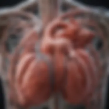 Treatment Options for Managing Aortic Stenosis Flowchart of treatment options for aortic stenosis