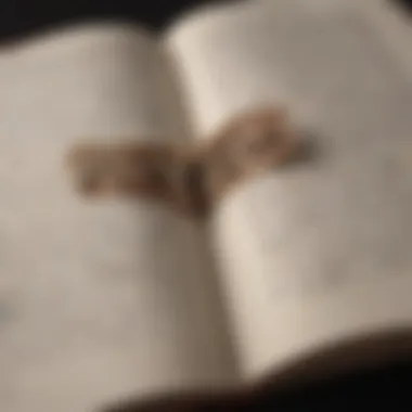 Understanding Empathy and Connection An open book with the words empathy and connection written on the pages