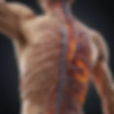 Peripheral Nerve Disorders Visual representation of common peripheral nerve disorders highlighting affected areas and symptoms.