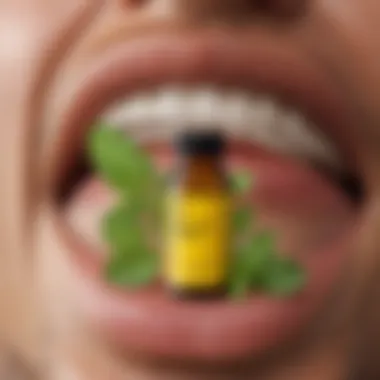 Guidelines for Safe Dosage of Oregano Oil An infographic illustrating recommended dosages of oregano oil