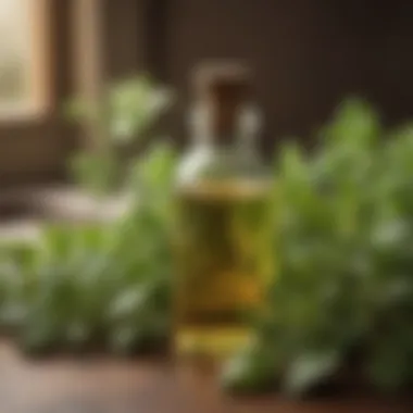 Integrating Oregano Oil into a Holistic Health Framework A serene environment depicting holistic health practices