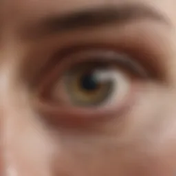 Illustration of peripheral vision anatomy