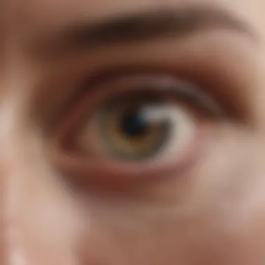 Understanding the Anatomy of Peripheral Vision Illustration of peripheral vision anatomy
