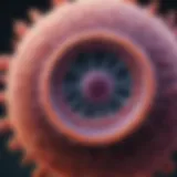 Close-up of a stomach cancer cell under a microscope