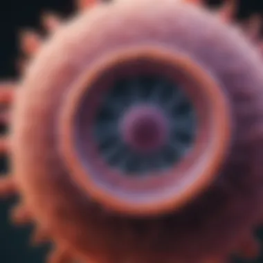 Close-up of a stomach cancer cell under a microscope