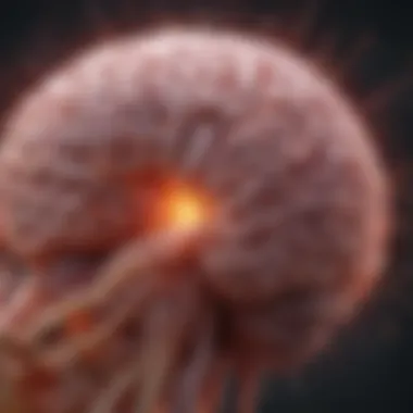 Visual representation of neuroinflammation caused by sepsis