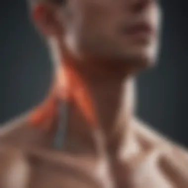 Visual representation of injury prevention strategies for neck muscles