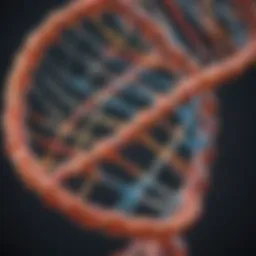 Diagram illustrating the double helix structure of DNA with its complementary strands.