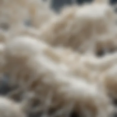 Microorganisms in Milk Microorganisms thriving in unpasteurized milk under a microscope