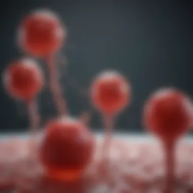 Platelet Interactions in Thrombosis Visual representation of platelet interactions in thrombosis