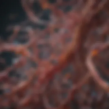 Interconnected Microbial Interactions Visual representation of microbial interactions within the body