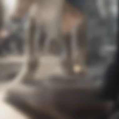 Farrier applying a shoe to a gaited horse