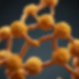 Curcumin molecular structure