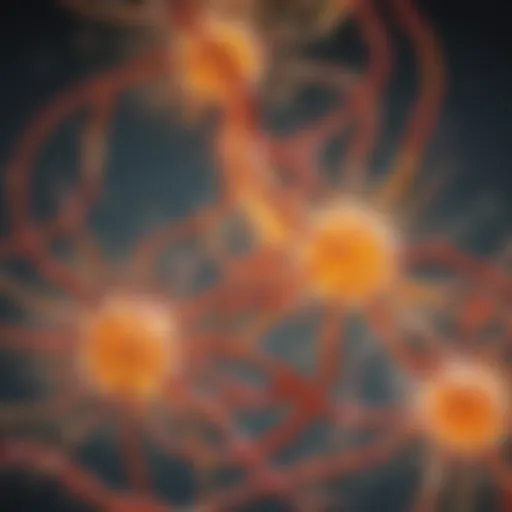 Illustration depicting the biochemical pathways of vitamin D metabolism