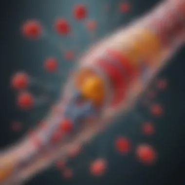 Biochemical Pathways of Vitamin E in Wound Healing Diagram showcasing the biochemical pathways influenced by Vitamin E in wound healing