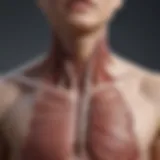 Illustration of the anatomy of the throat and chest area highlighting pain points