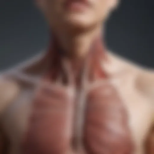 Illustration of the anatomy of the throat and chest area highlighting pain points