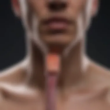 Visual guide to diagnostic procedures for throat pain and chest tightness