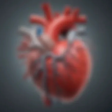 Illustration of the cardiac conduction system highlighting LBBB