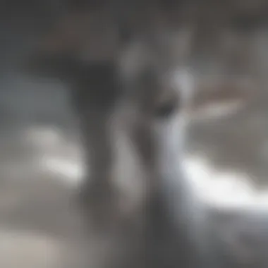 Veterinarian examining goat