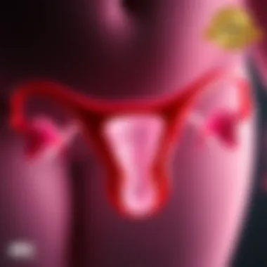 Hormonal Influences on Vaginal Discharge Visual representation of hormonal changes affecting vaginal health