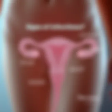 Signs of Infections Diagram showing the signs of possible infections related to vaginal discharge