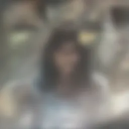 A detailed diagram illustrating the methodology of the ABI Doppler test