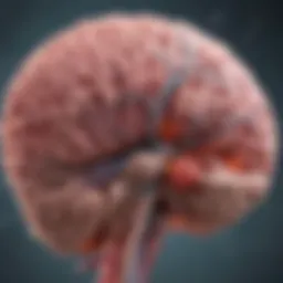 Diagram illustrating the metastasis of lung cancer to the brain
