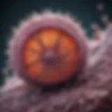 Microscopic view of chlamydia bacteria