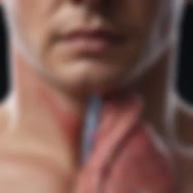 Causes of Pulmonary Artery Enlargement Illustration showing potential causes of pulmonary artery enlargement